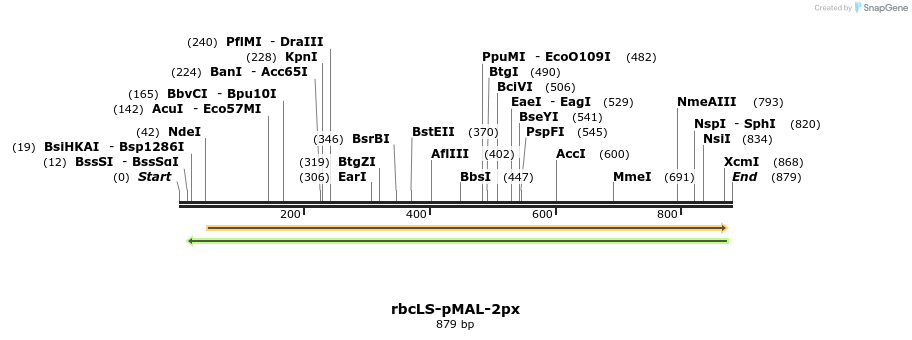 56120_map