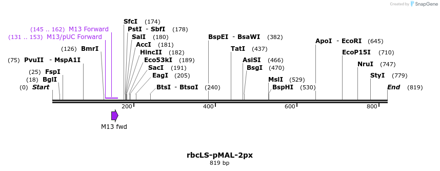 56121_map