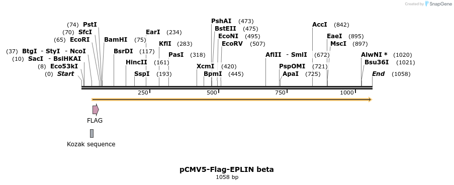 56122_map