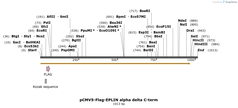 56124_map