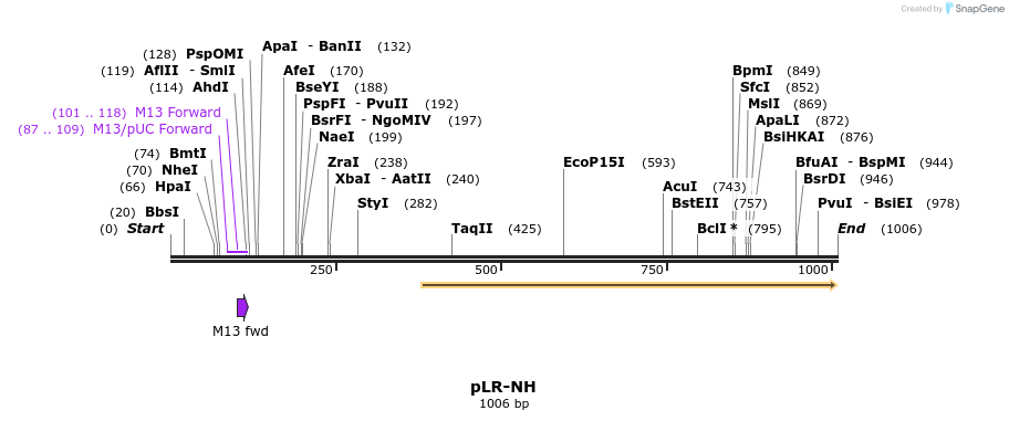 56127_map