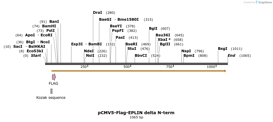 56128_map