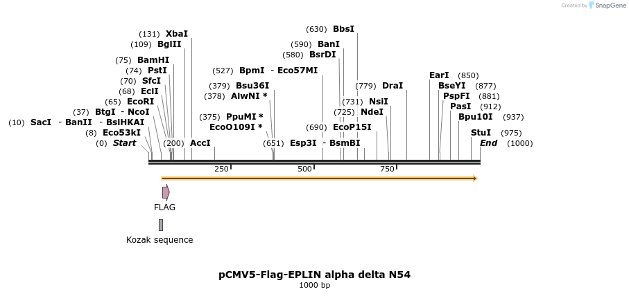 56132_map