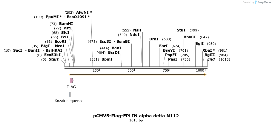 56133_map