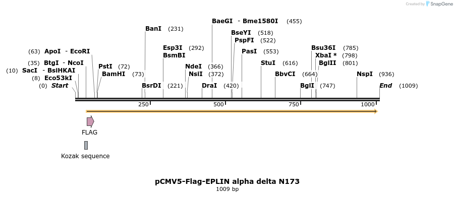 56135_map
