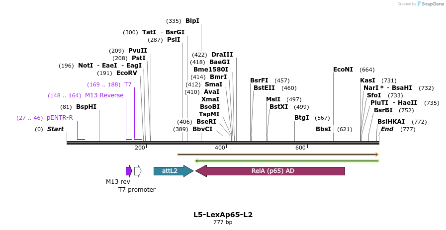 56139_map