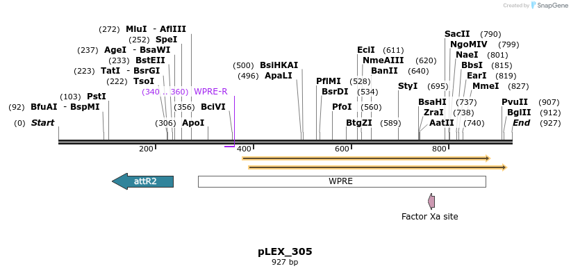 56140_map