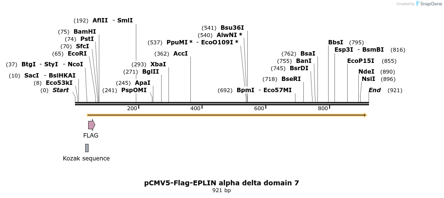 56144_map