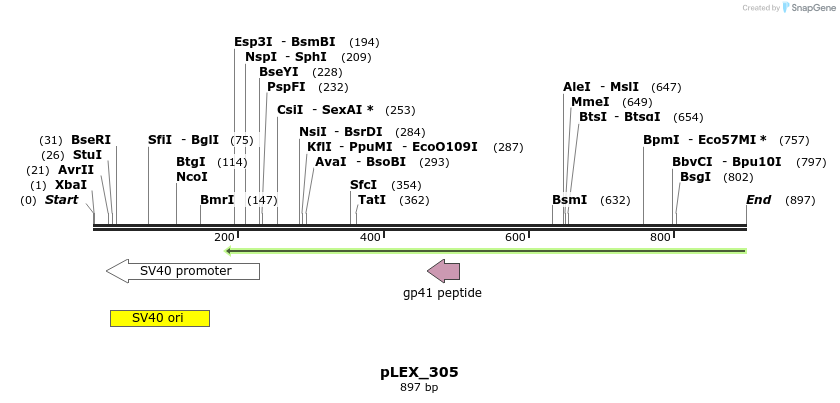 56145_map