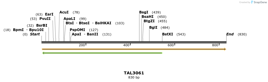 56146_map