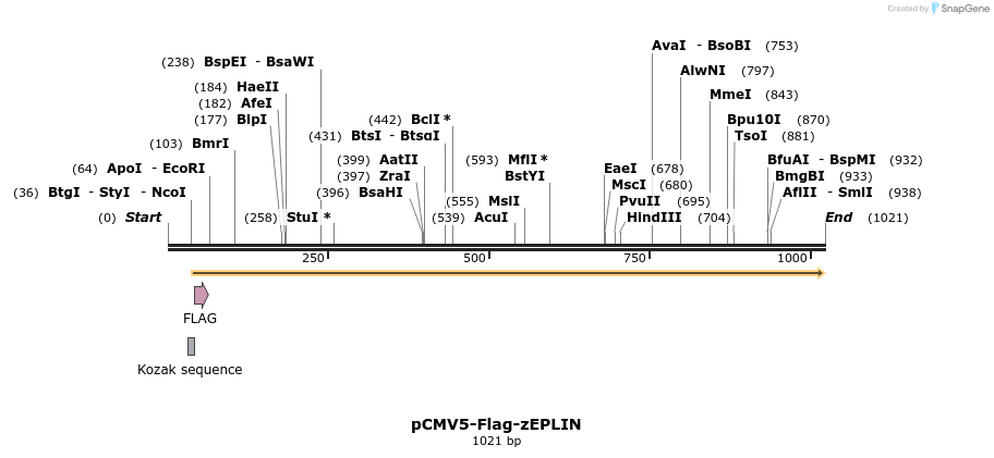 56158_map