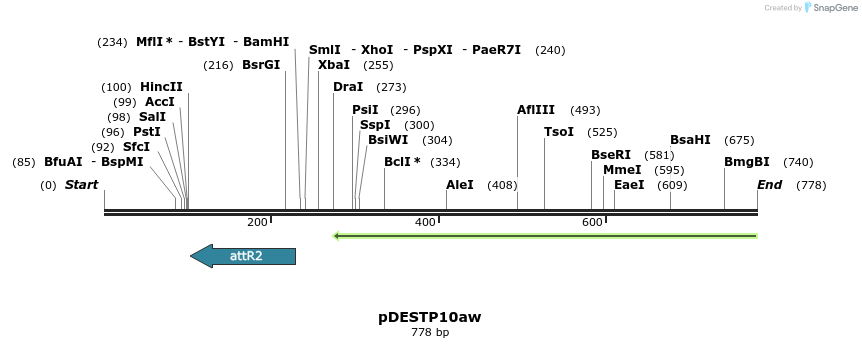 56160_map