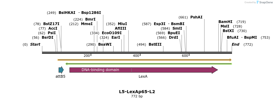 56161_map
