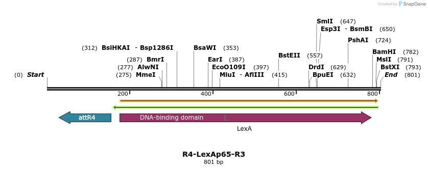 56163_map