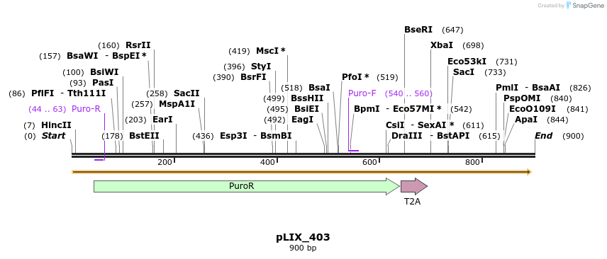 56166_map