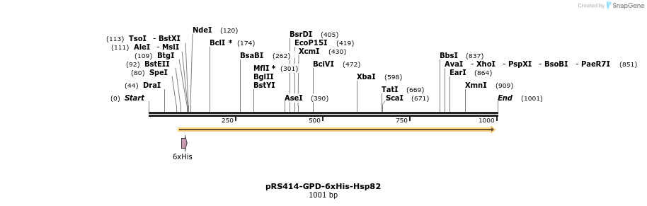 56170_map