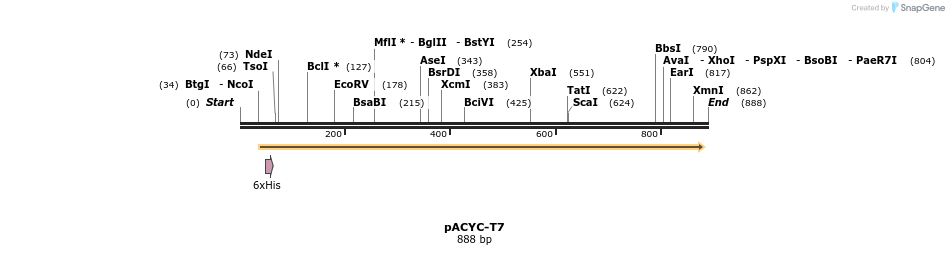 56174_map