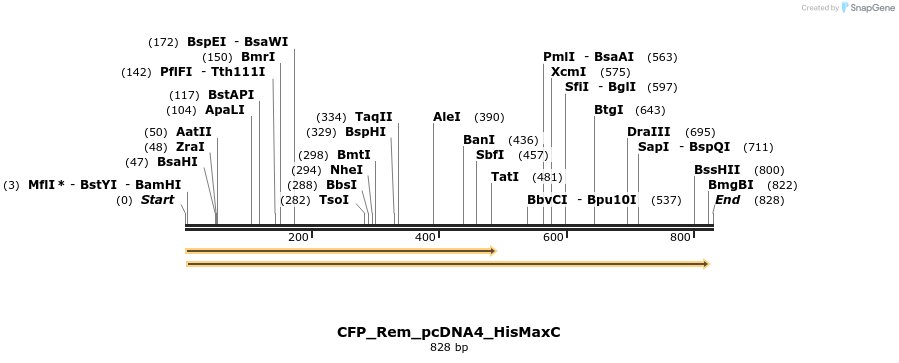 56177_map