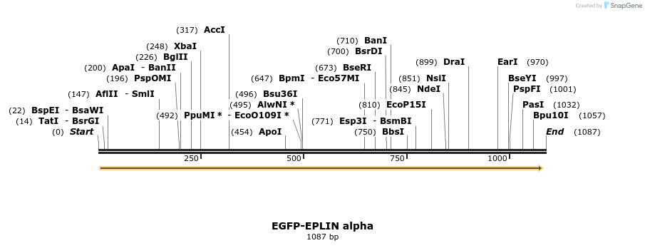56179_map