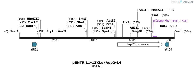 56182_map