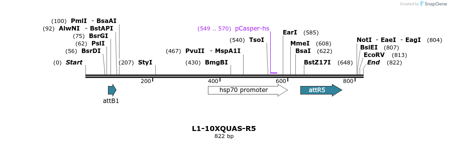 56184_map