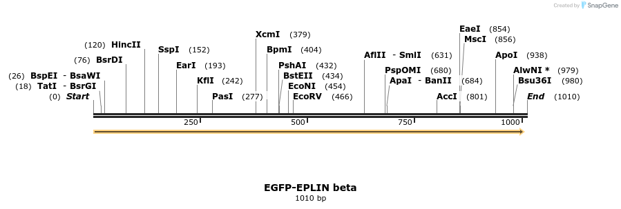 56189_map