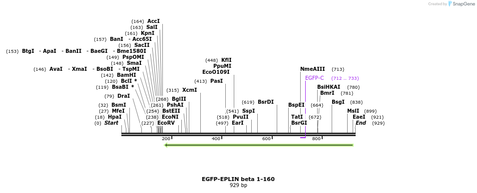 56196_map