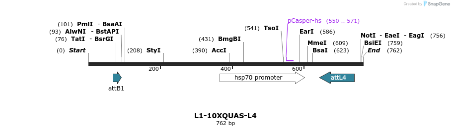 56197_map