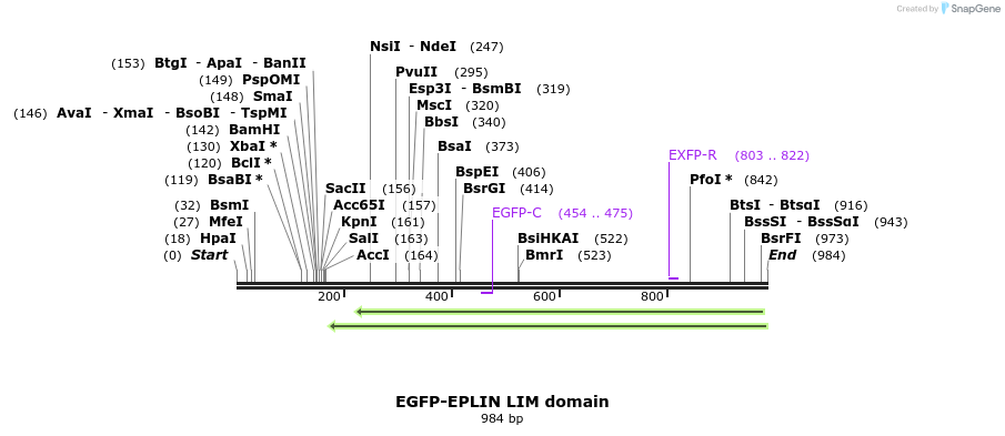 56202_map