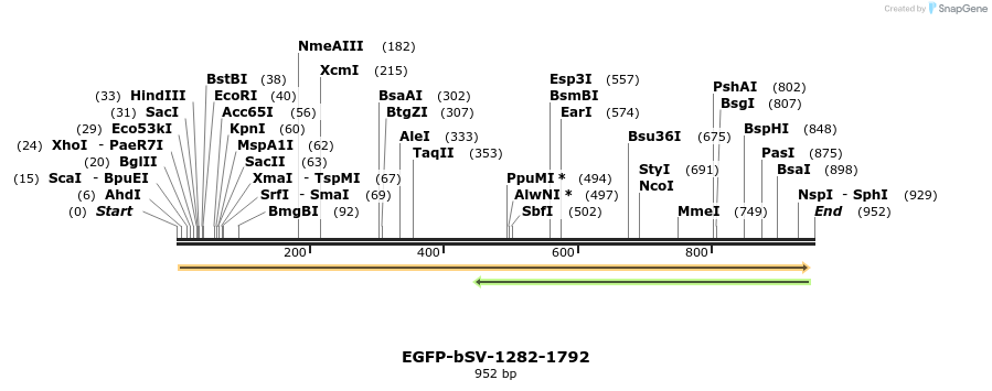 56208_map