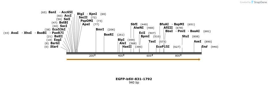 56209_map