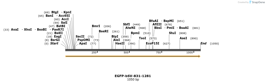 56211_map