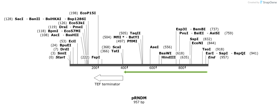 56213_map