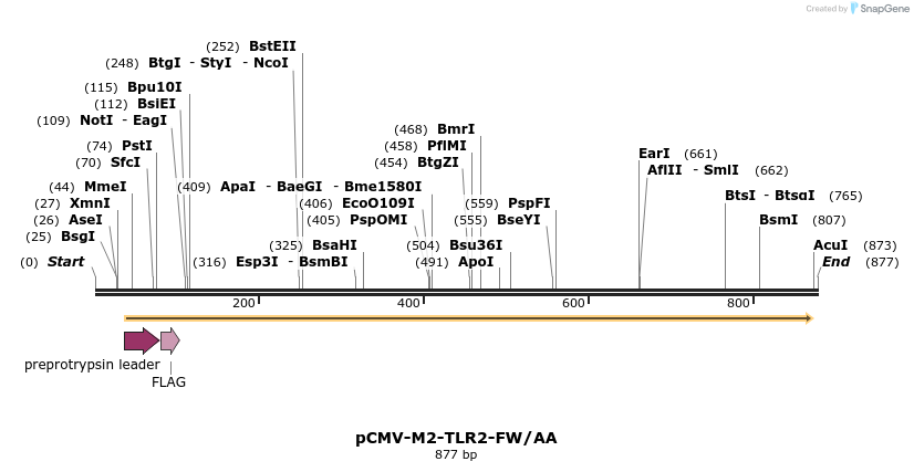 56218_map