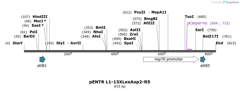 56219_map