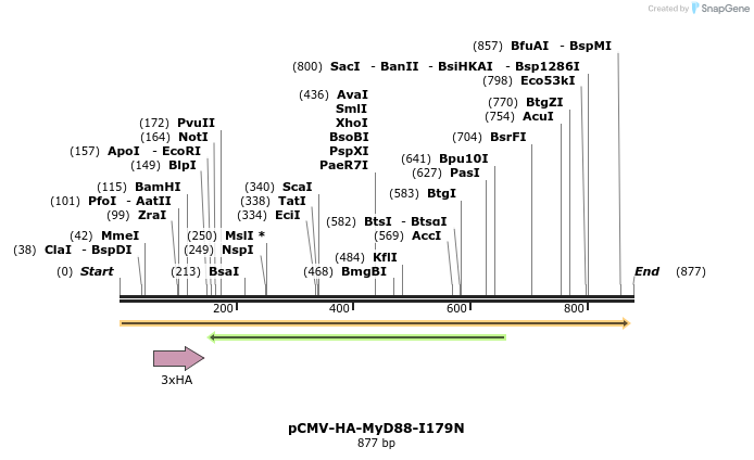 56220_map