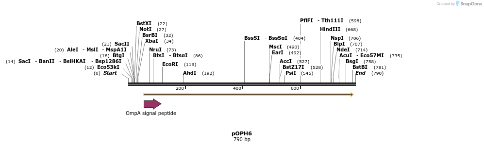 56221_map