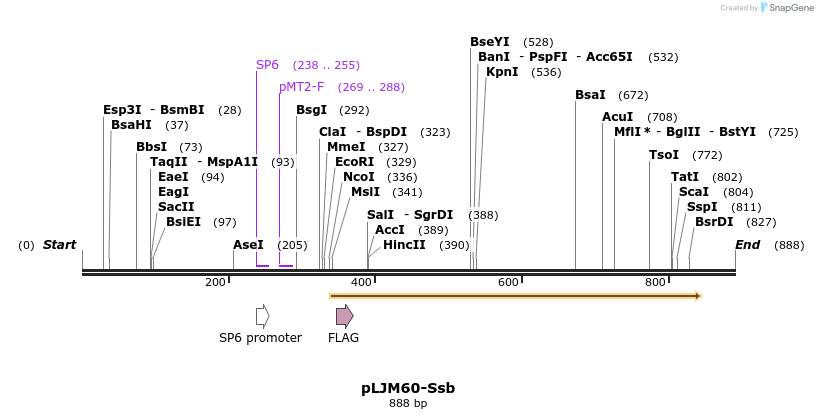 56229_map