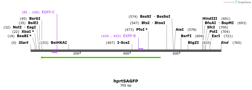56230_map