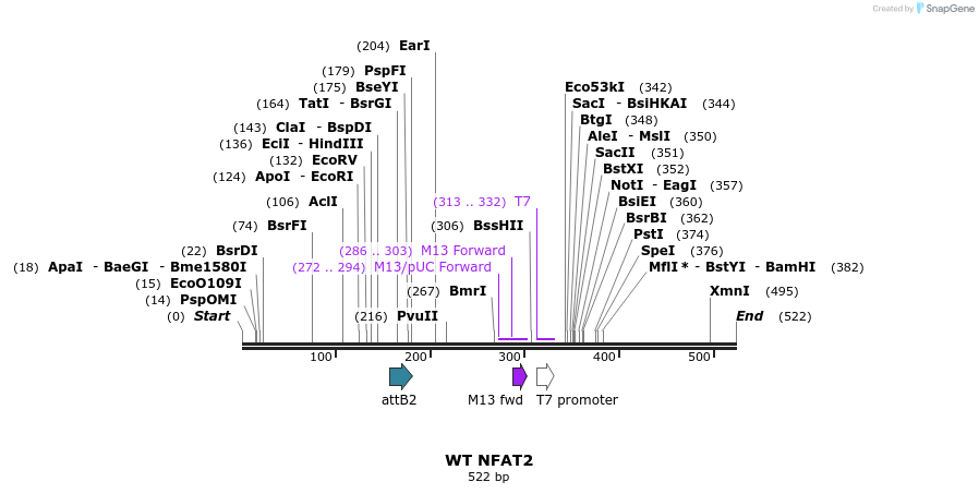 56231_map
