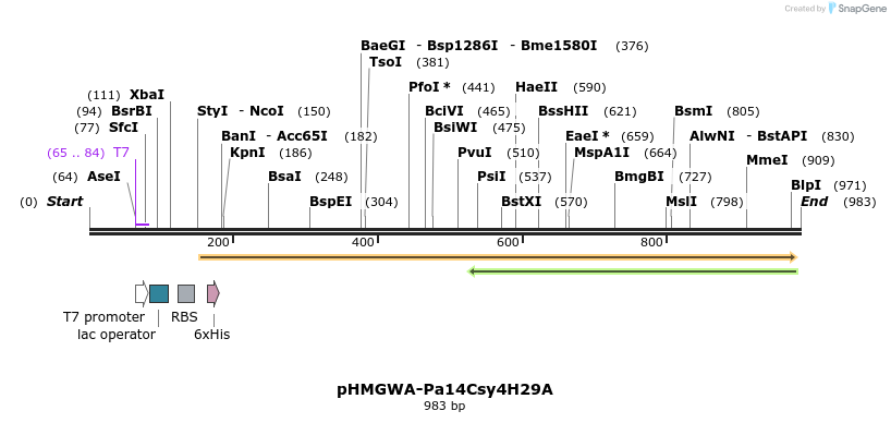 56232_map
