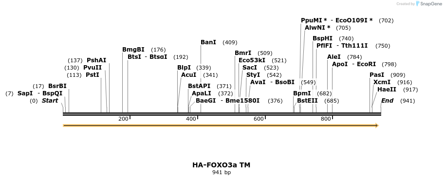 56234_map