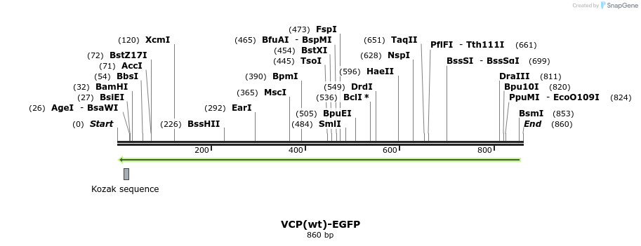 56241_map
