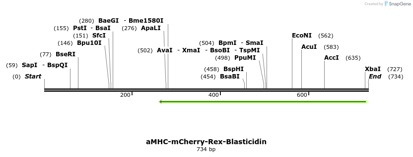 56243_map
