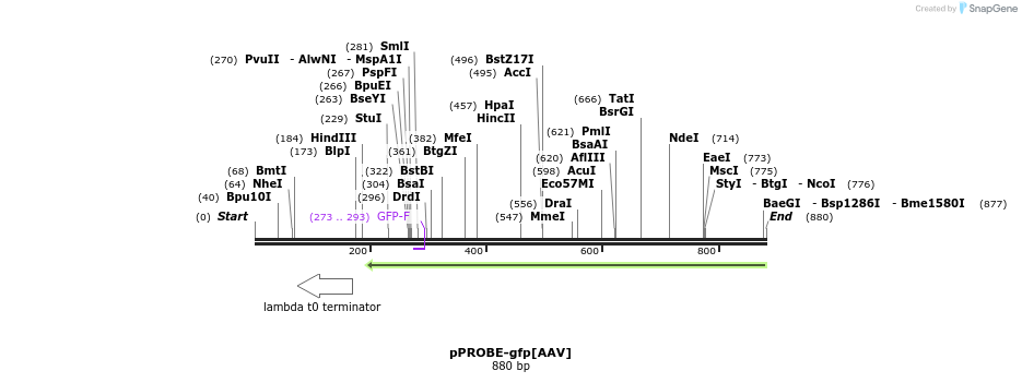 56247_map