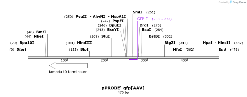 56248_map