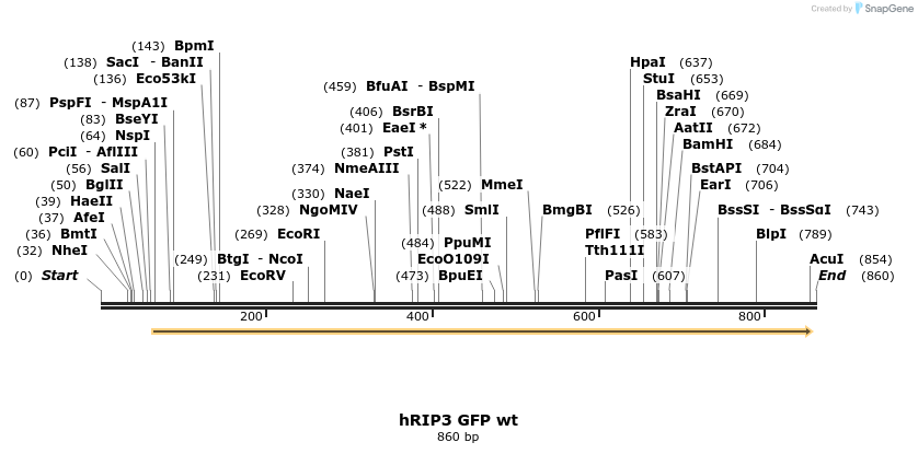 56265_map