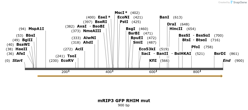 56266_map