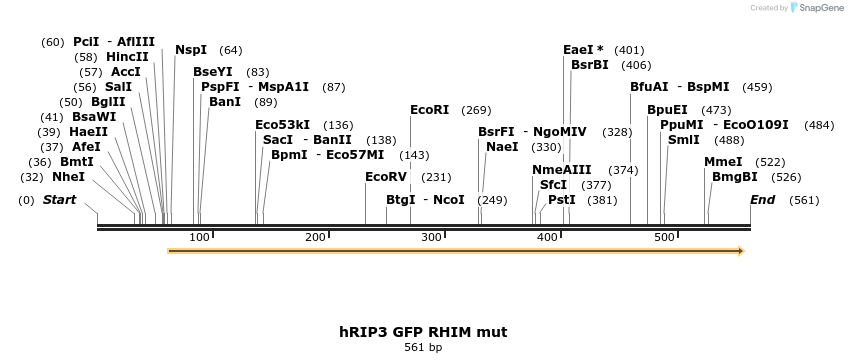56269_map