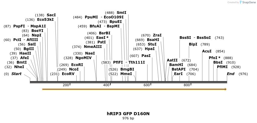 56270_map